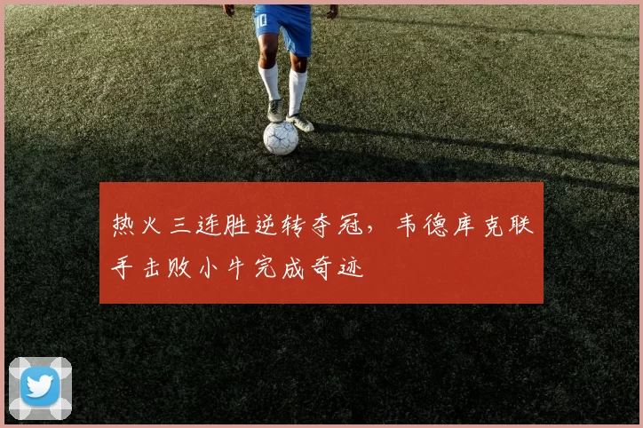 热火三连胜逆转夺冠，韦德库克联手击败小牛完成奇迹