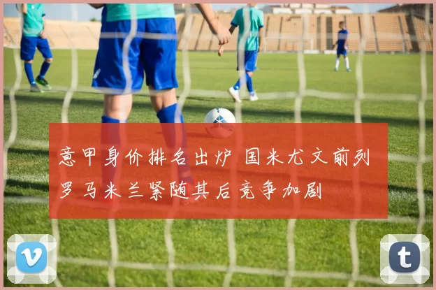 意甲身价排名出炉 国米尤文前列 罗马米兰紧随其后竞争加剧